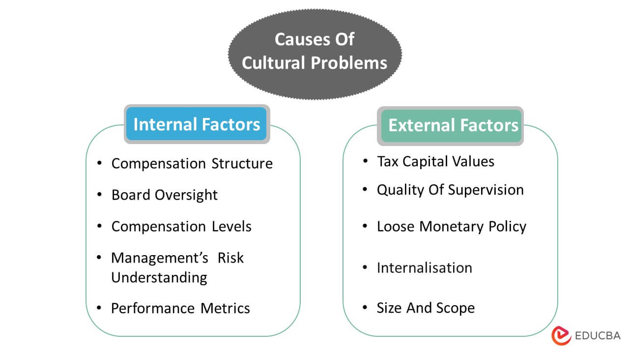 Causes Of Cultural Problems