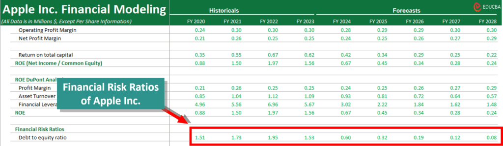 Financial Modeling in Excel- Financial Risk Ratio