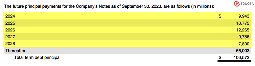 debt schedule - Future principal payments