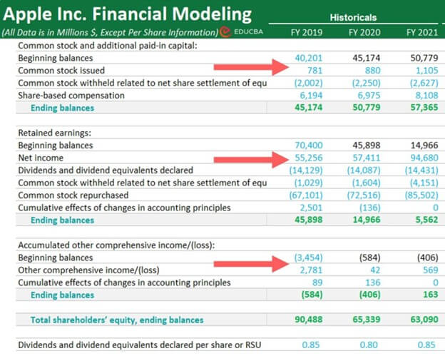 financial modeling in excel-shareholder’s equity schedule