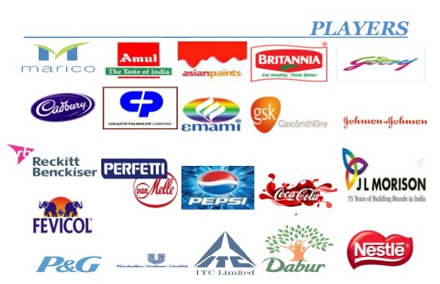 Indian-fmcg-sectors-players