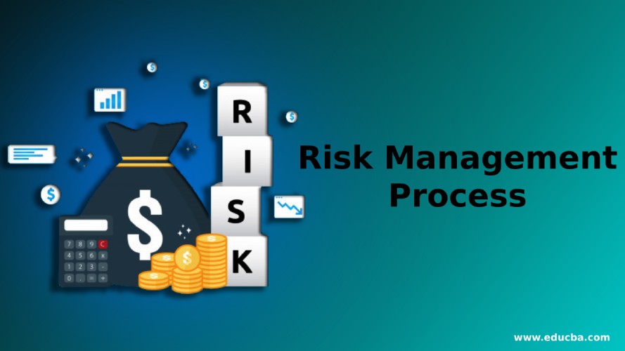 Risk Management Process