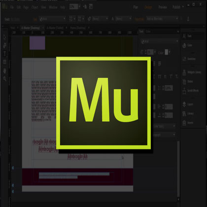 Adobe Muse Training