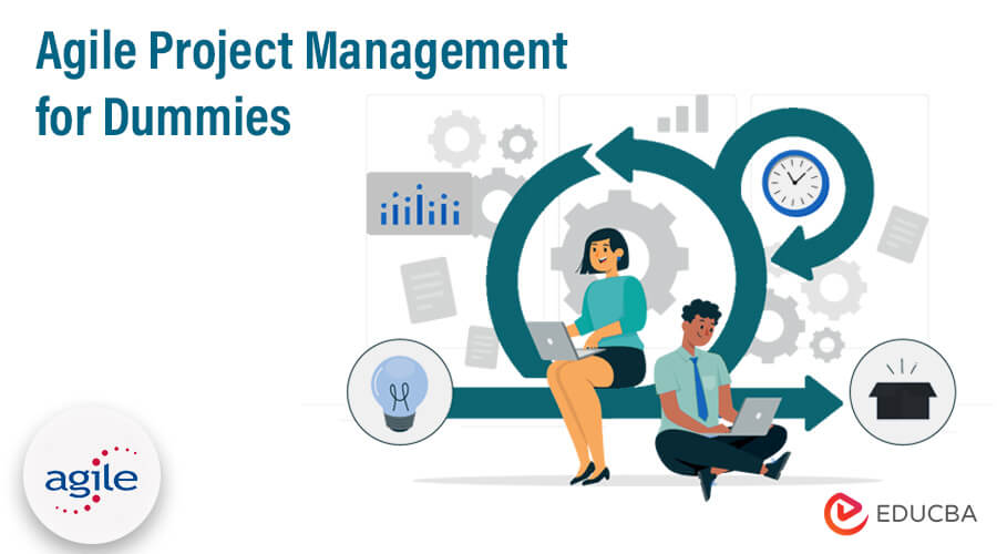 Agile Project Management for Dummies