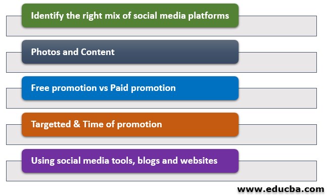 social media strategy plan and Tools