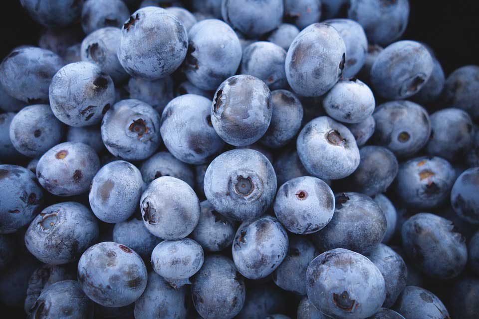 Healthy diet meals - Blueberries
