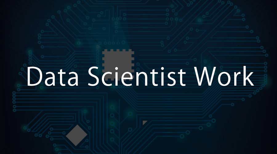 Data Scientist Work