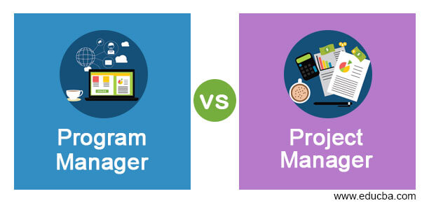 Program Manager vs Project Manager