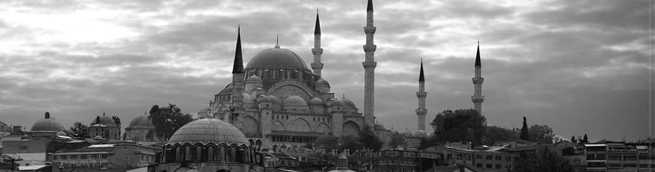 Website Layout - 16 istanbul
