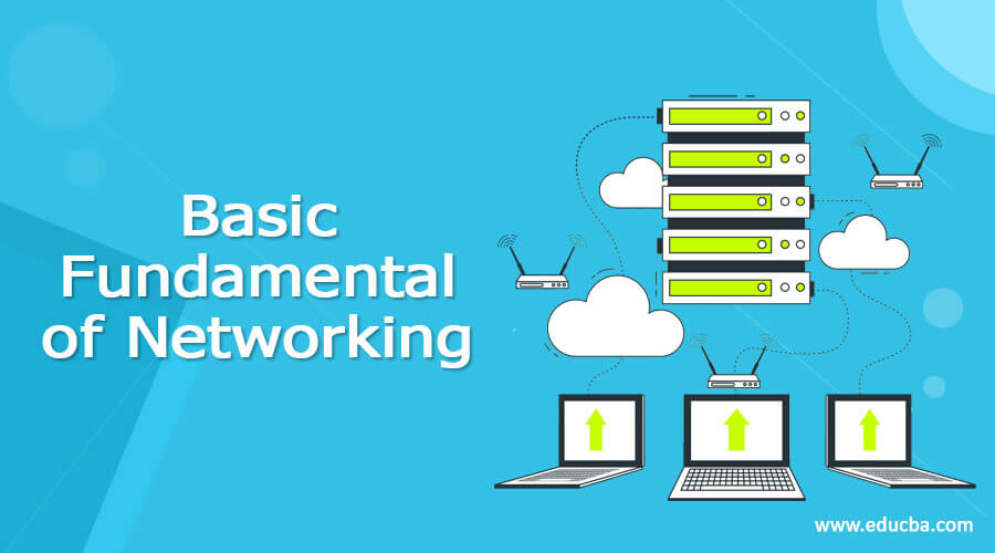 basic fundamental of networking