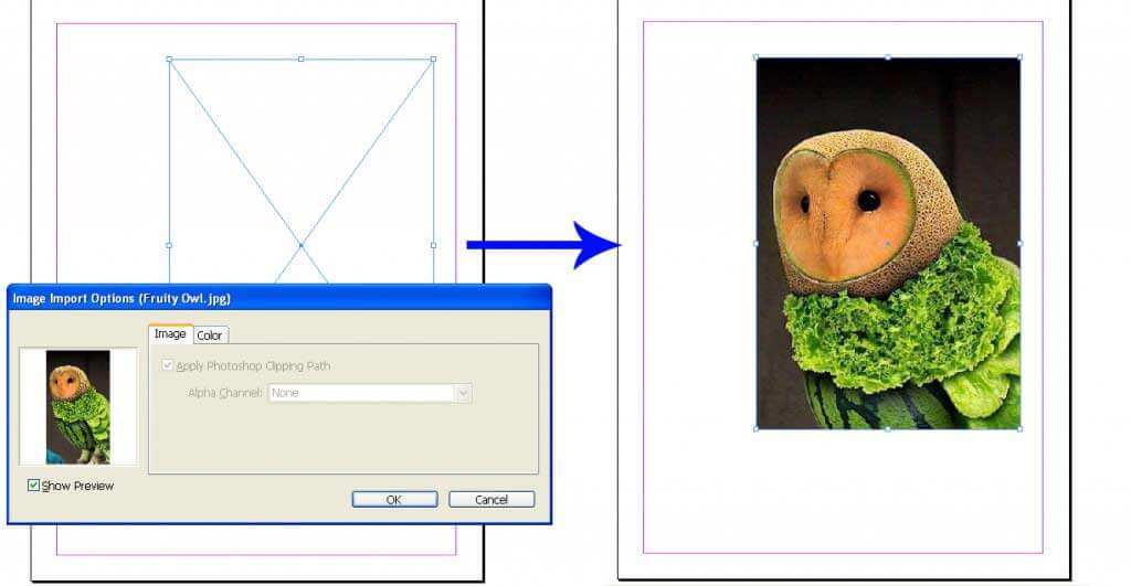 Importing the image into an existing frame