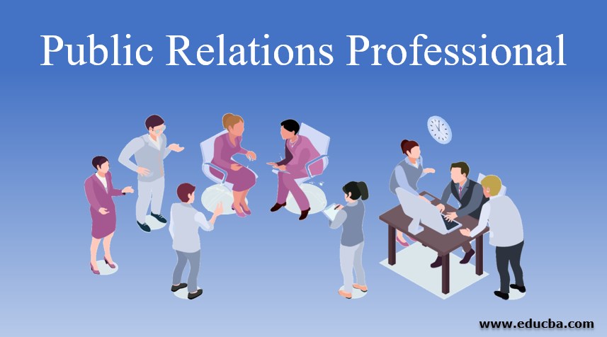 Public Relation Professional