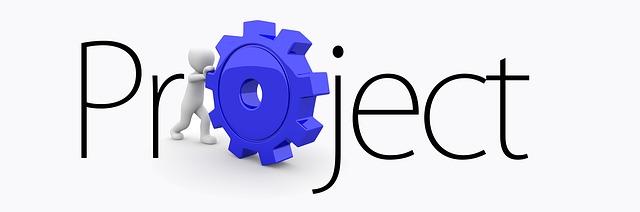 Traditional vs Dynamic Project Management