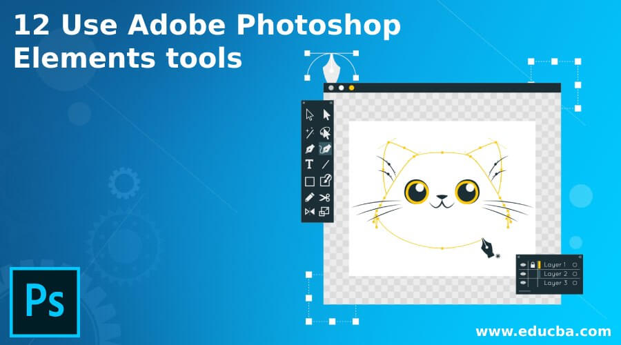 12 Use Adobe Photoshop Elements tools
