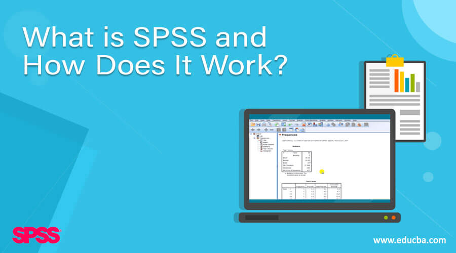 What is SPSS and How Does It Work?