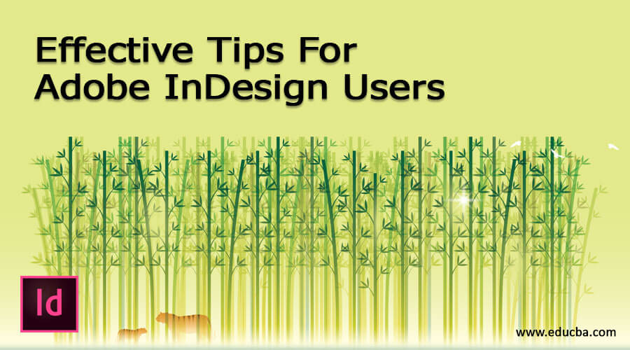 Effective Tips For Adobe InDesign Users