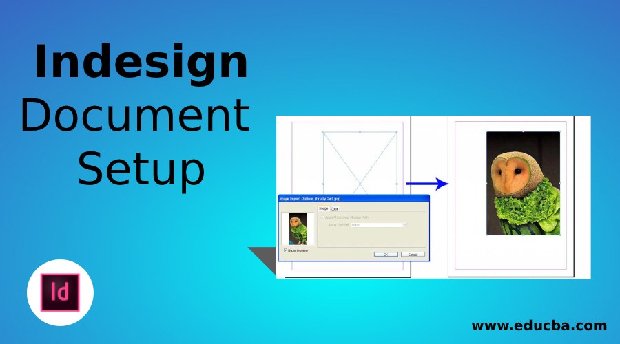 InDesign Document Setup