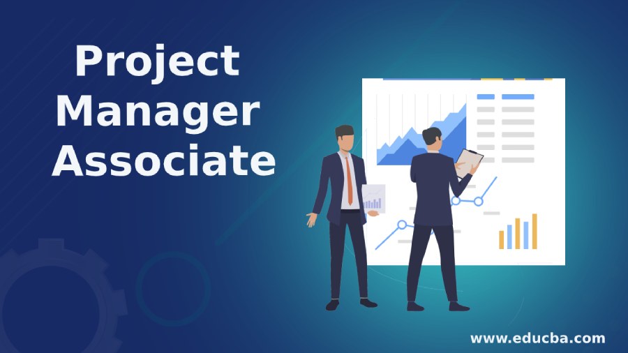 Project Manager Associate