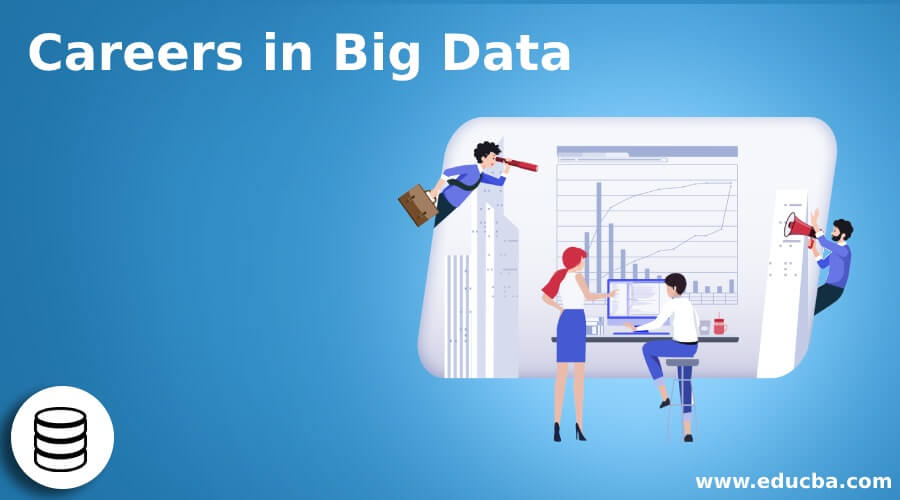 Careers in Big Data