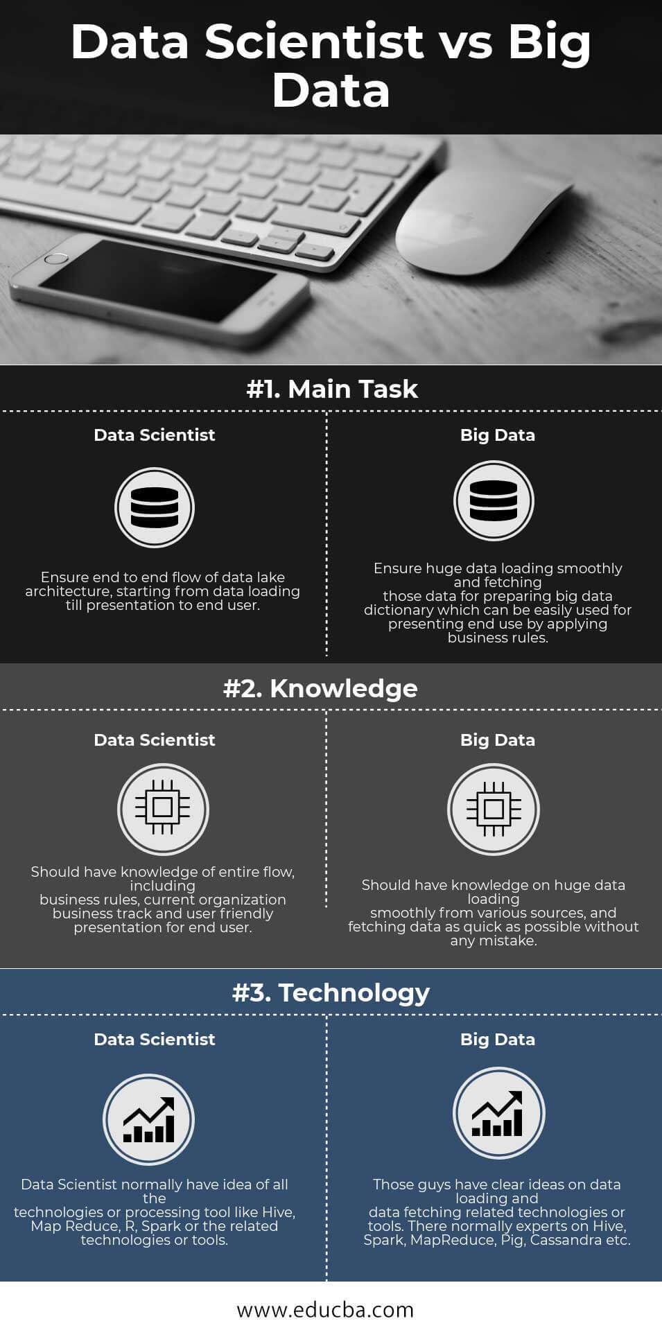 Data Scientist vs Big Data Infographics