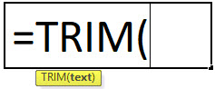 TRIM Formula in Excel
