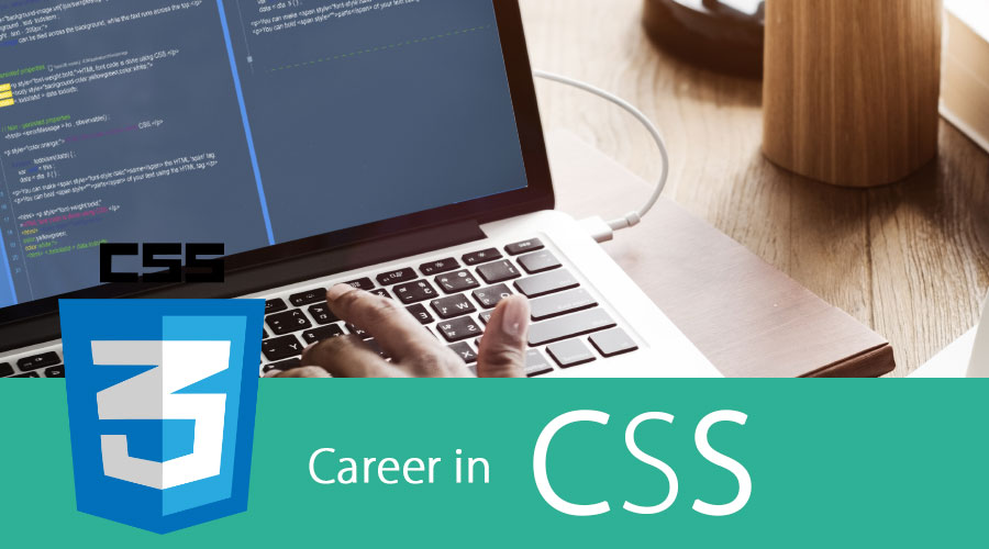 Career-In-CSS