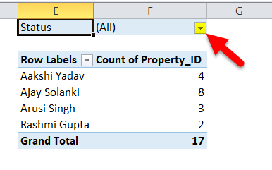 Excel Pivot Table Example 1-7