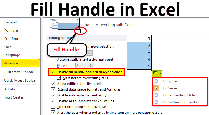 Fill Handle in Excel