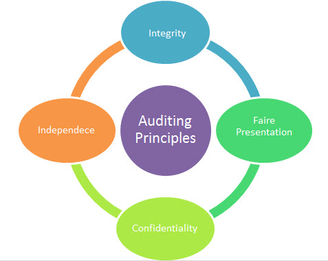 An Auditor