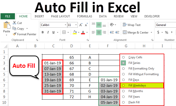 Auto Fill in Excel