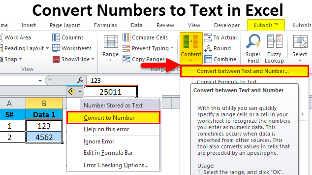 Converting Numbers to Text in Excel