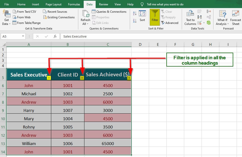 Using the Filter option to remove duplicates in Excel step 3.1