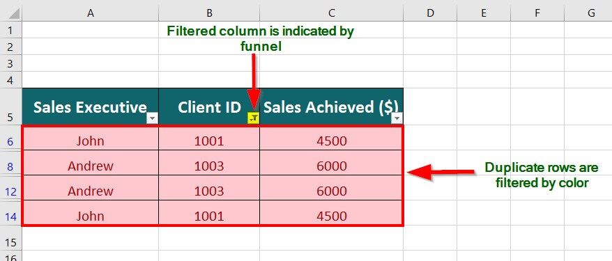 Using the Filter option to remove duplicates in Excel step 6.1