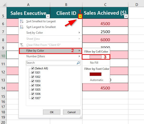 Using the Filter option to remove duplicates in Excel step 6