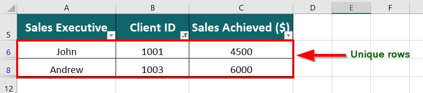 Using the Filter option to remove duplicates in Excel step 7