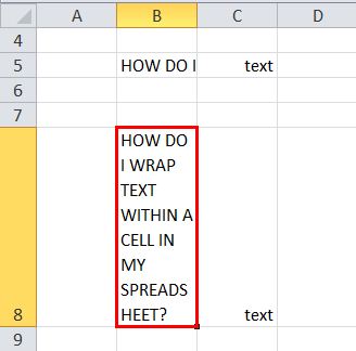 Wrap Text Example 1-4