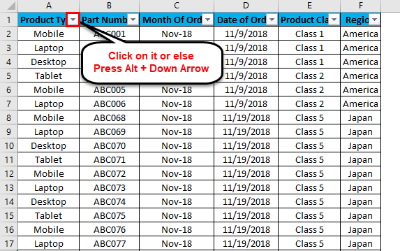 Excel Column Filter Example 1-5