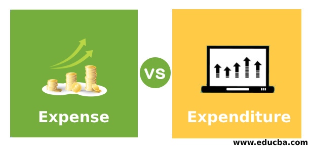 Expense vs Expenditure