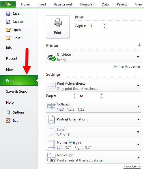 print options dialog box