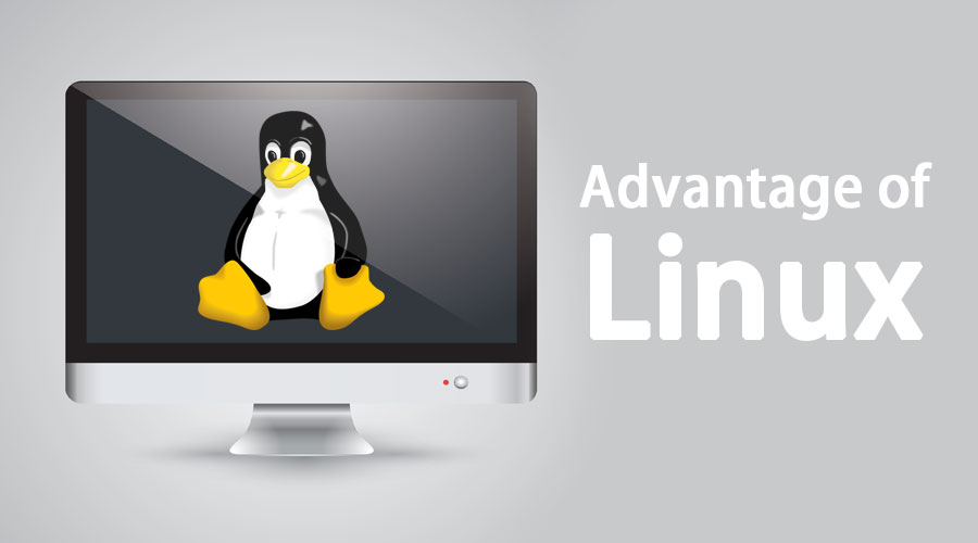 advantage of linux
