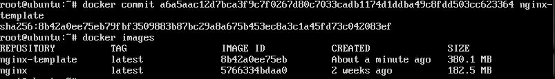 Docker Commit Command