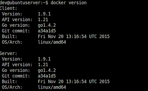 docker version