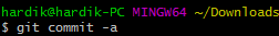 git commit -a