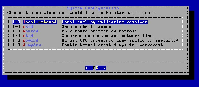 Install FreeBSD 19