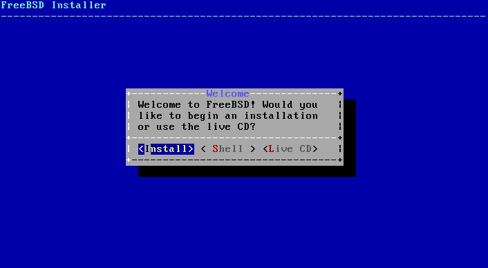 Install FreeBSD 3