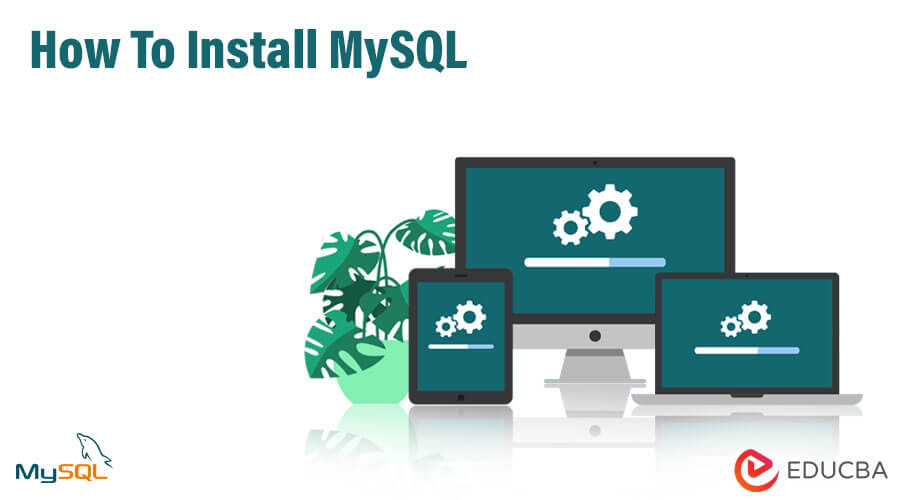 How To Install MySQL