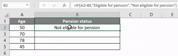 Result of IF Logical Function