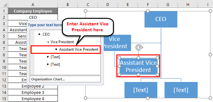 Assistant Vice President