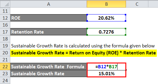 Sustainable Growth Rate Example 2-4
