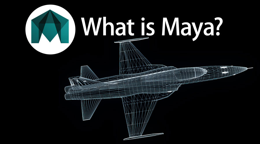 What Is Maya